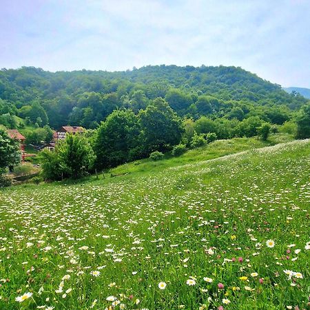 Ecokayan Dilijan Resort Hotel Eksteriør bilde