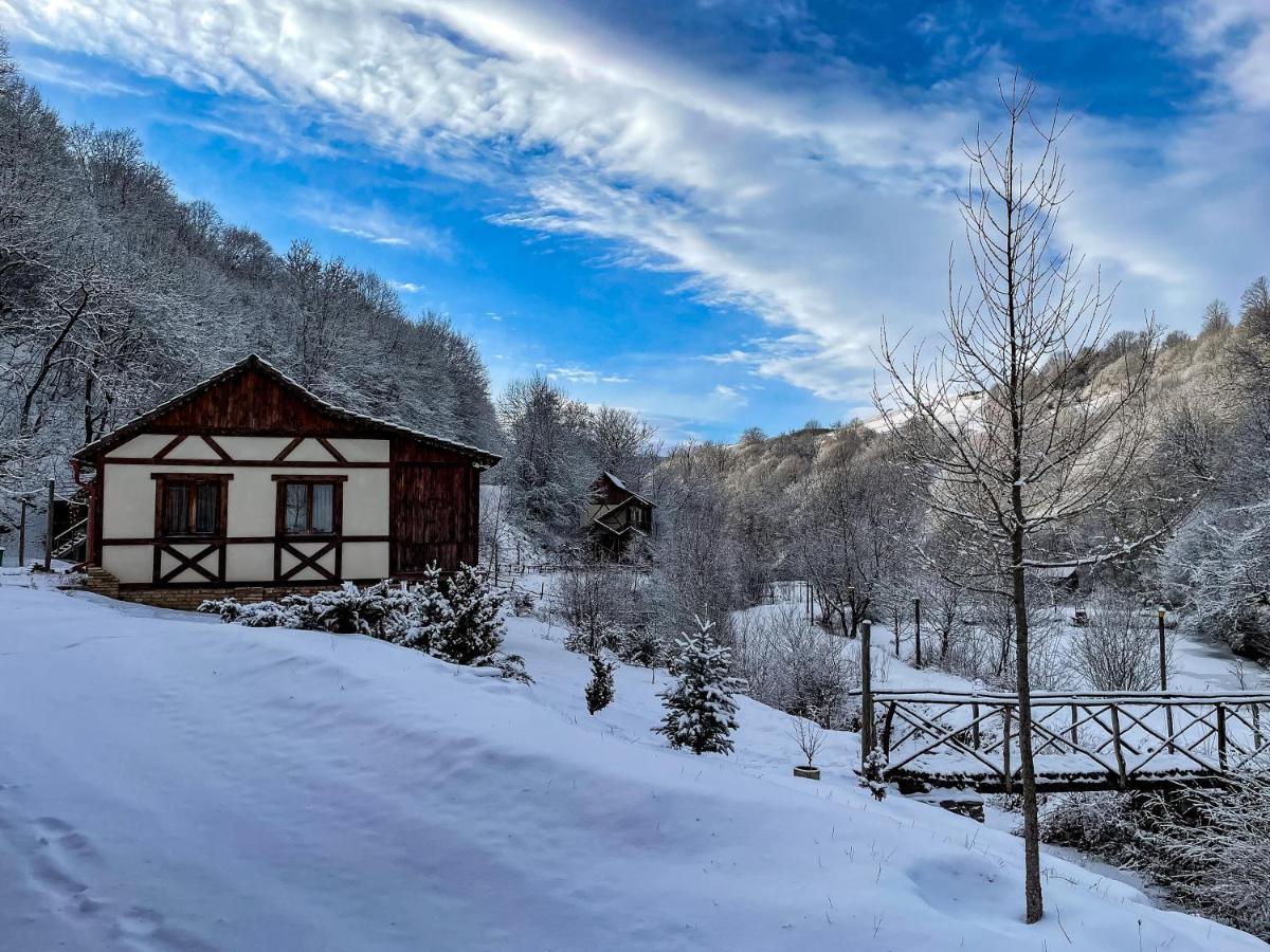 Ecokayan Dilijan Resort Hotel Eksteriør bilde