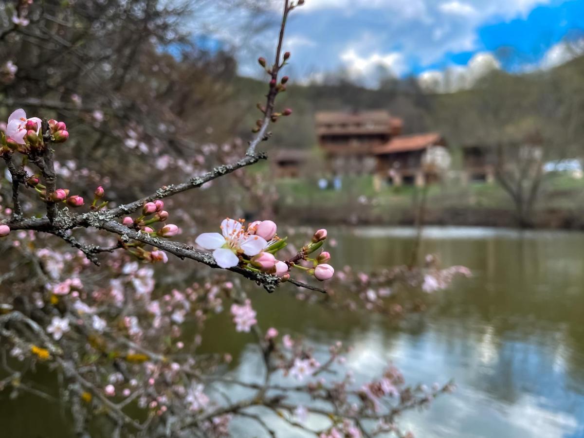 Ecokayan Dilijan Resort Hotel Eksteriør bilde