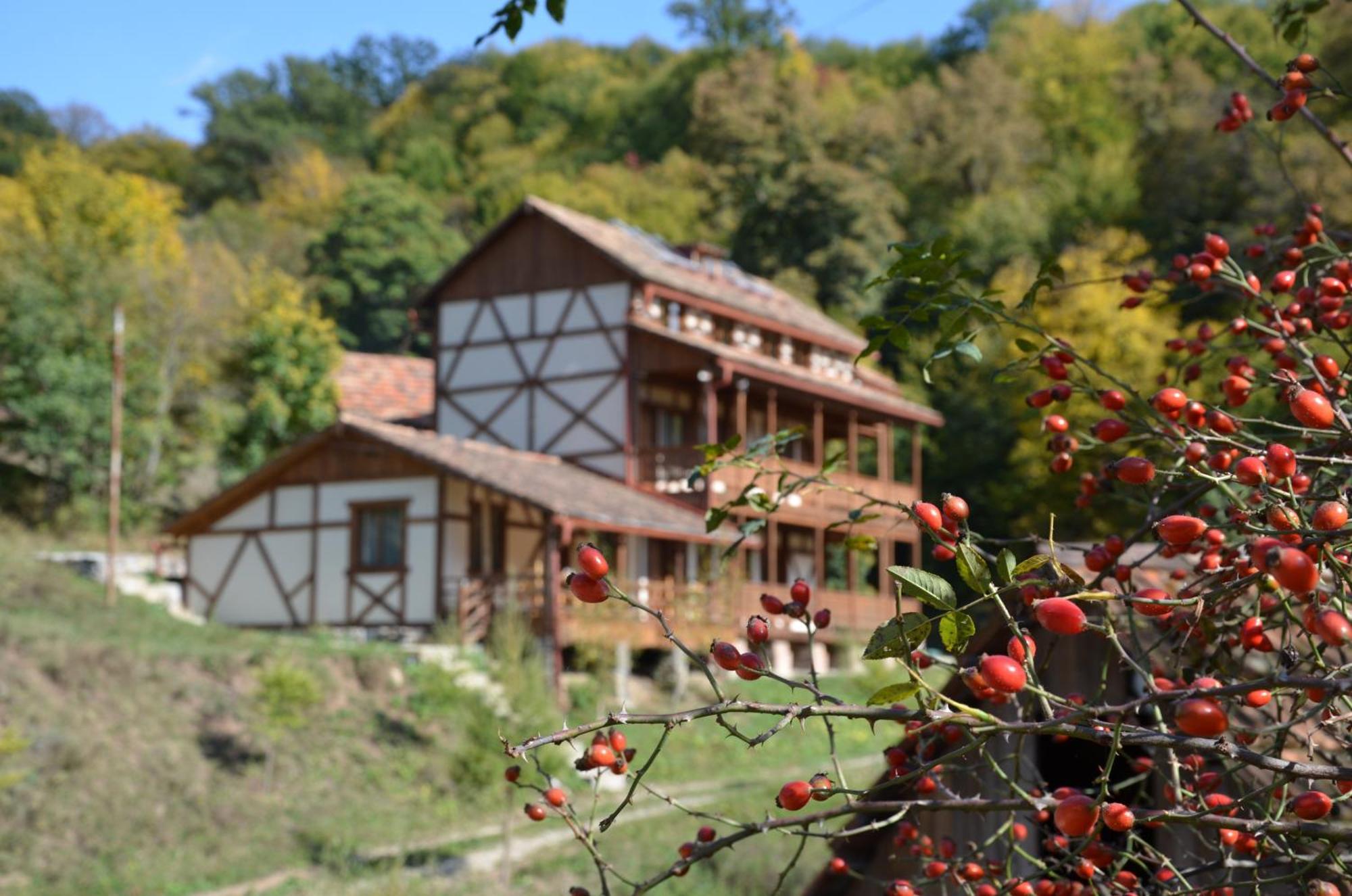 Ecokayan Dilijan Resort Hotel Eksteriør bilde