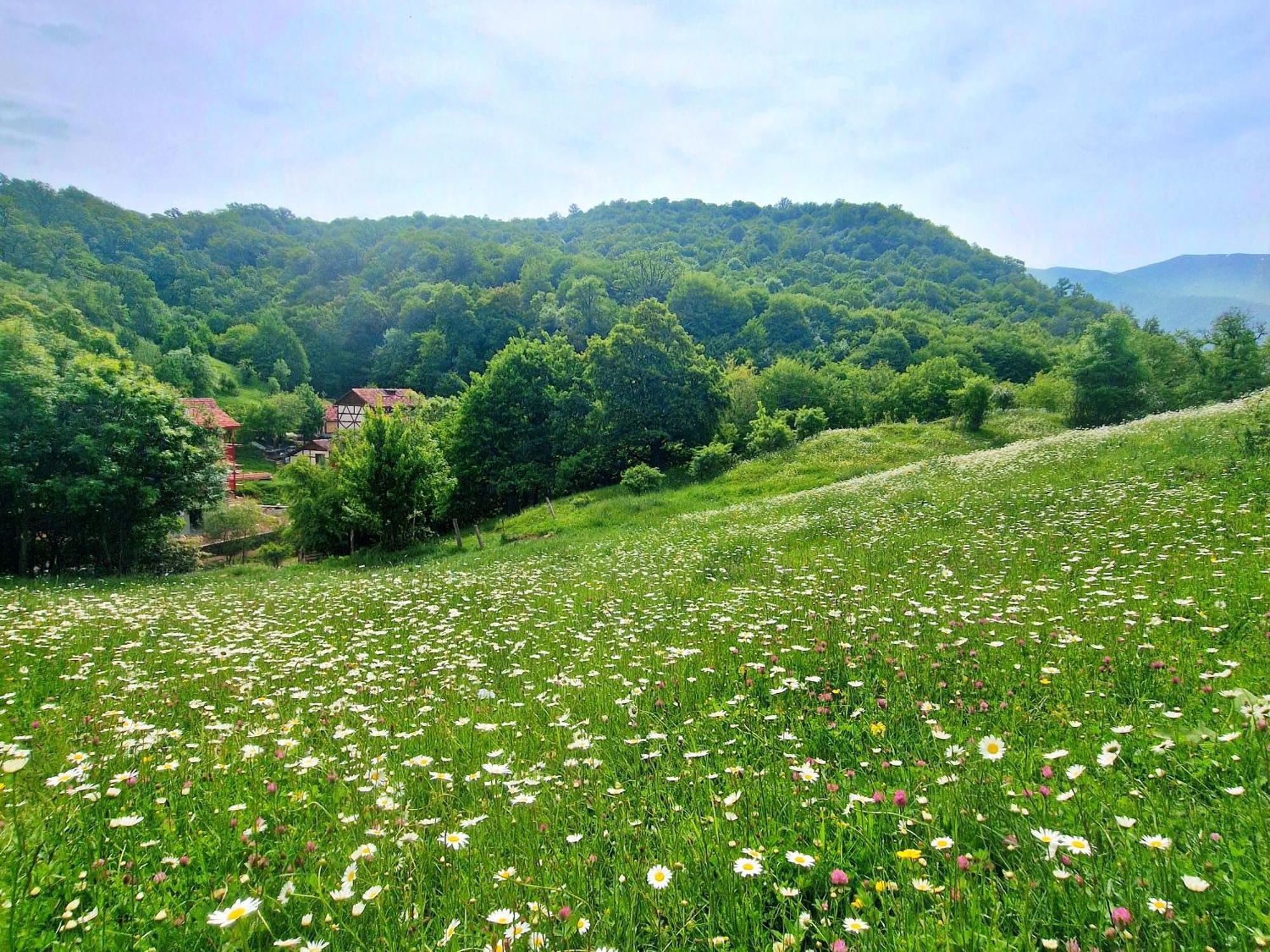 Ecokayan Dilijan Resort Hotel Eksteriør bilde