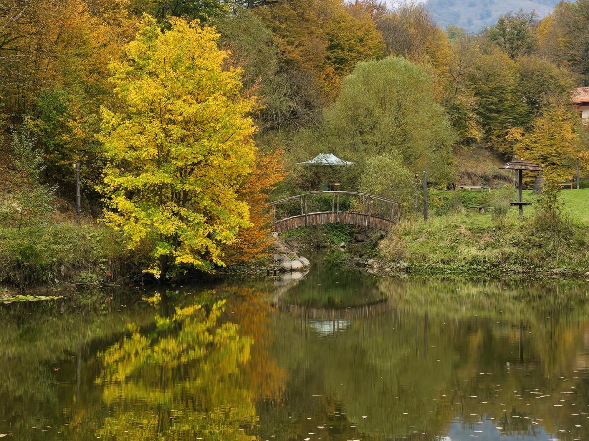 Ecokayan Dilijan Resort Hotel Eksteriør bilde
