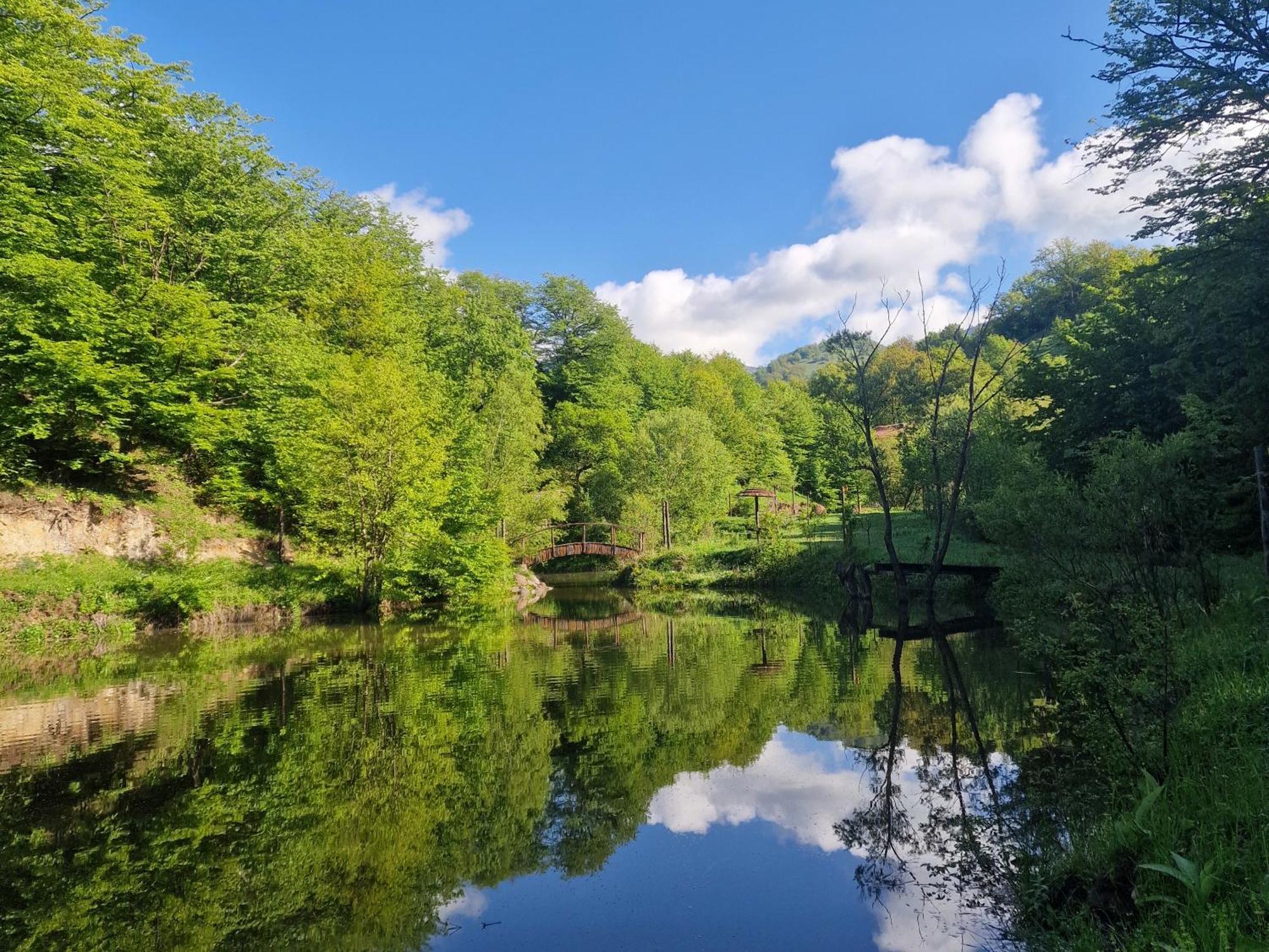 Ecokayan Dilijan Resort Hotel Eksteriør bilde
