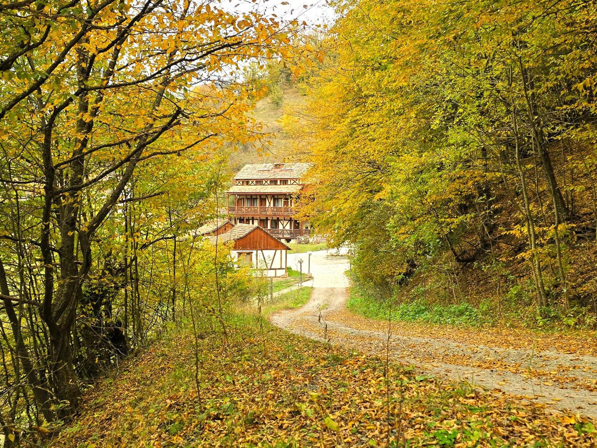 Ecokayan Dilijan Resort Hotel Eksteriør bilde
