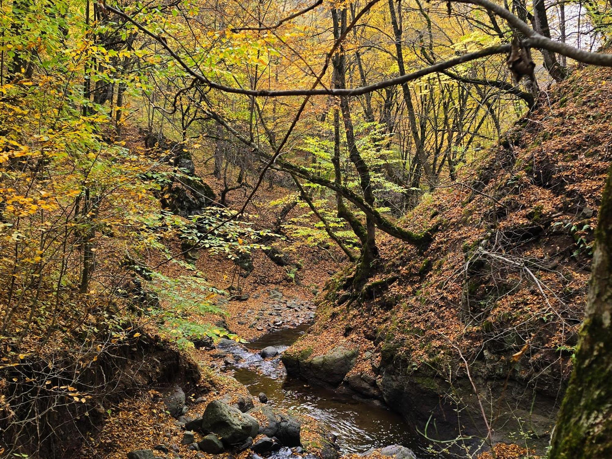 Ecokayan Dilijan Resort Hotel Eksteriør bilde